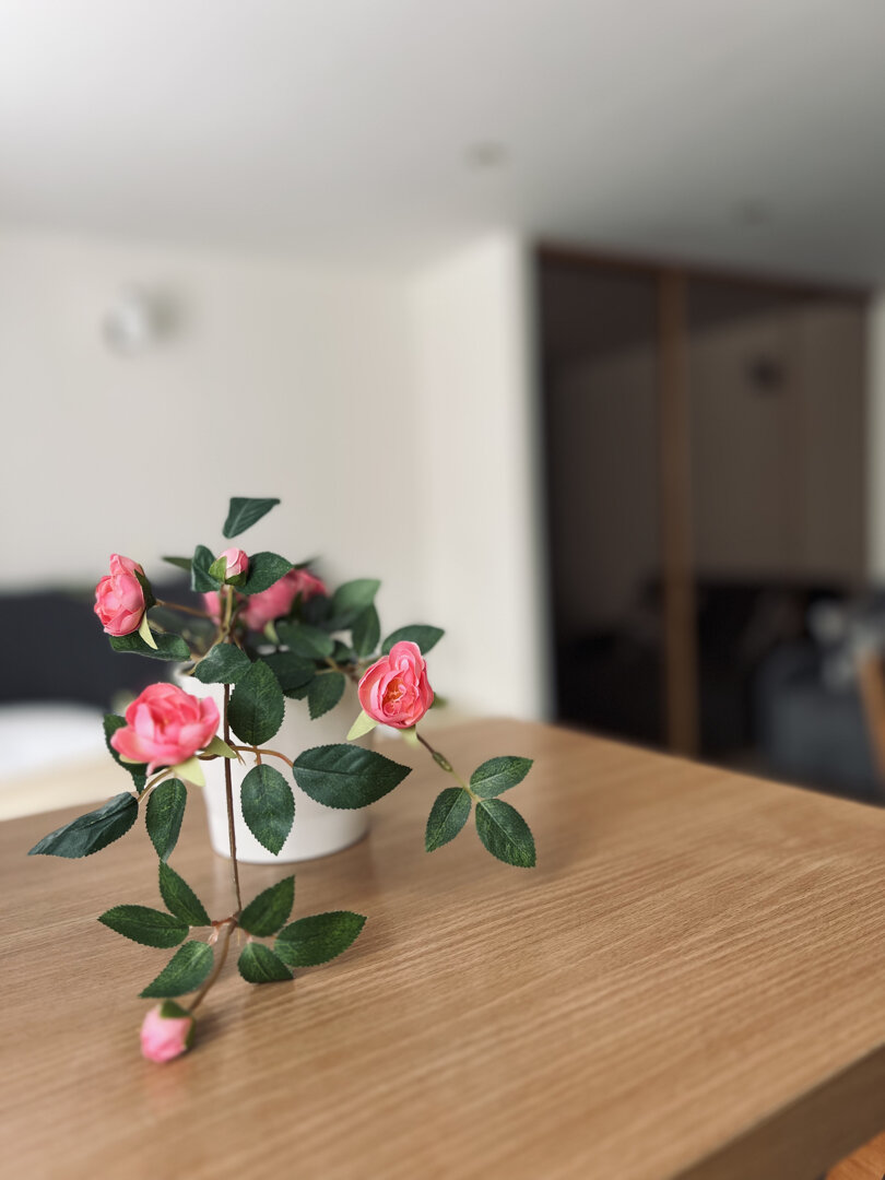 Szklarska Poręba, 1-go Maja 35A/13 EverySky Apartments